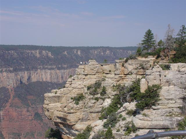 Grand Canyon seen from the North Rim #31 of 36 (#1902)