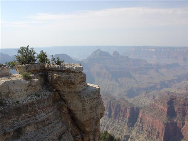 Grand Canyon seen from the North Rim #32 of 36 (#1903)