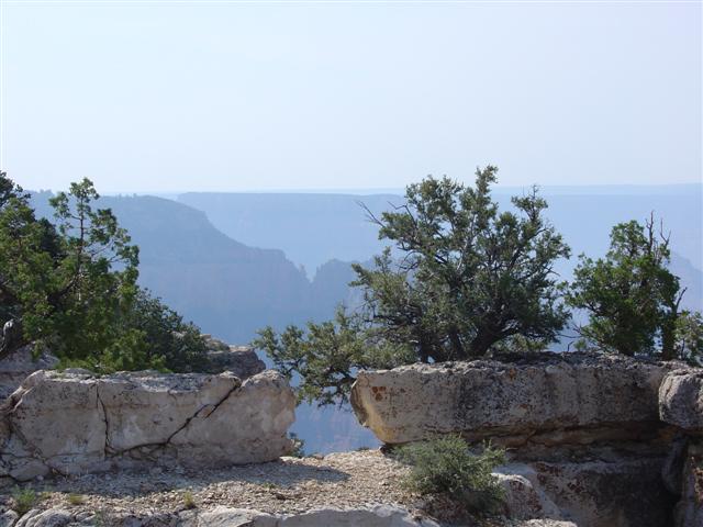 Grand Canyon seen from the North Rim #33 of 36 (#1904)