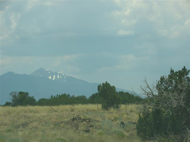 Snow capped mountain in Coconino National Forest #4 of 4 (#1930)