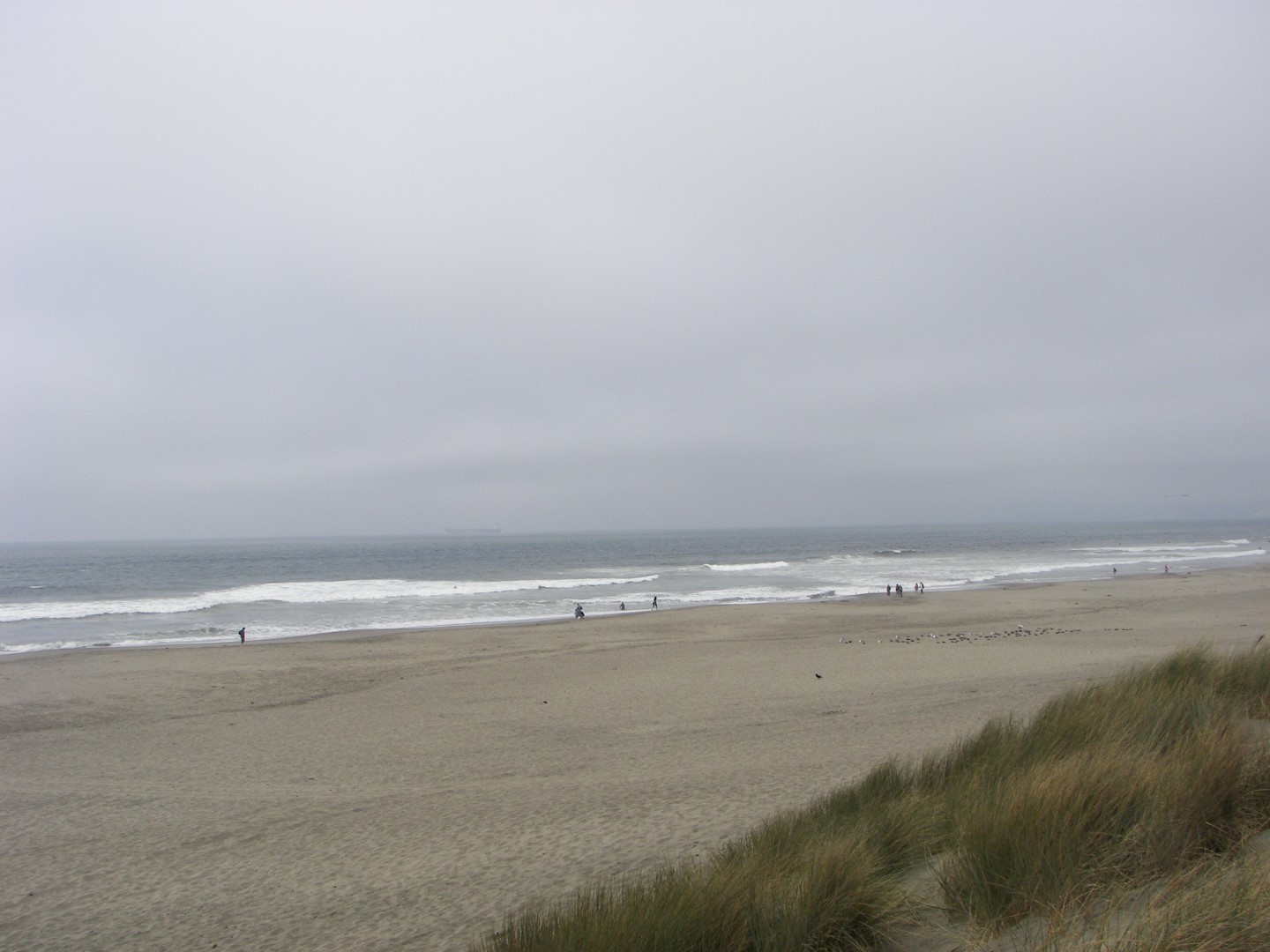 Pacific Ocean and Nearby Sites in San Francisco  1 of  6 (#0778)