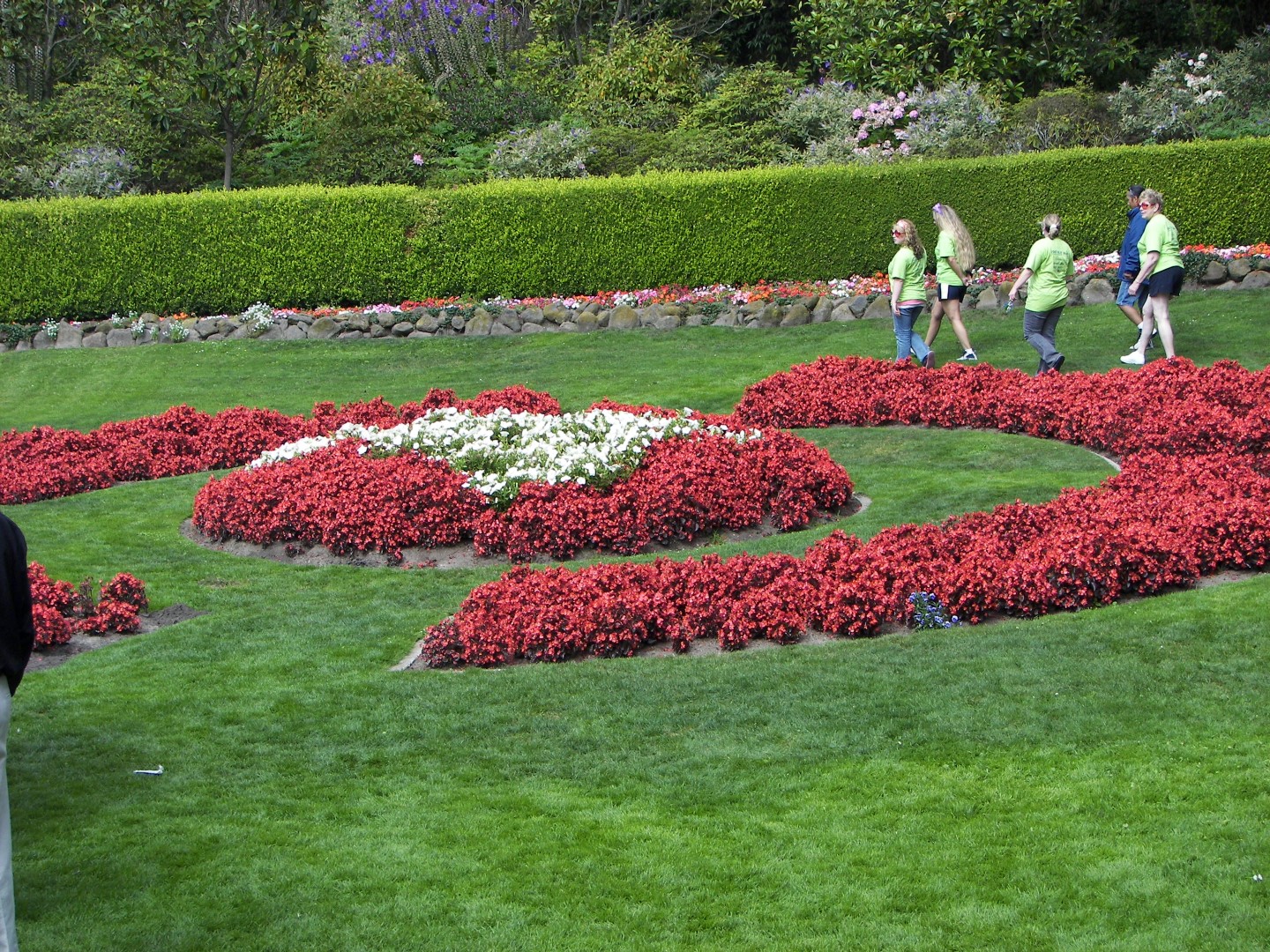 Golden State Park in San Francisco  1 of 23 (#0788)
