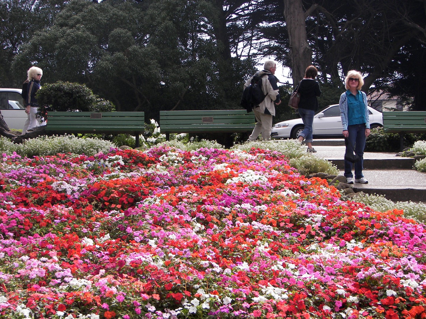Golden State Park in San Francisco  2 of 23 (#0789)