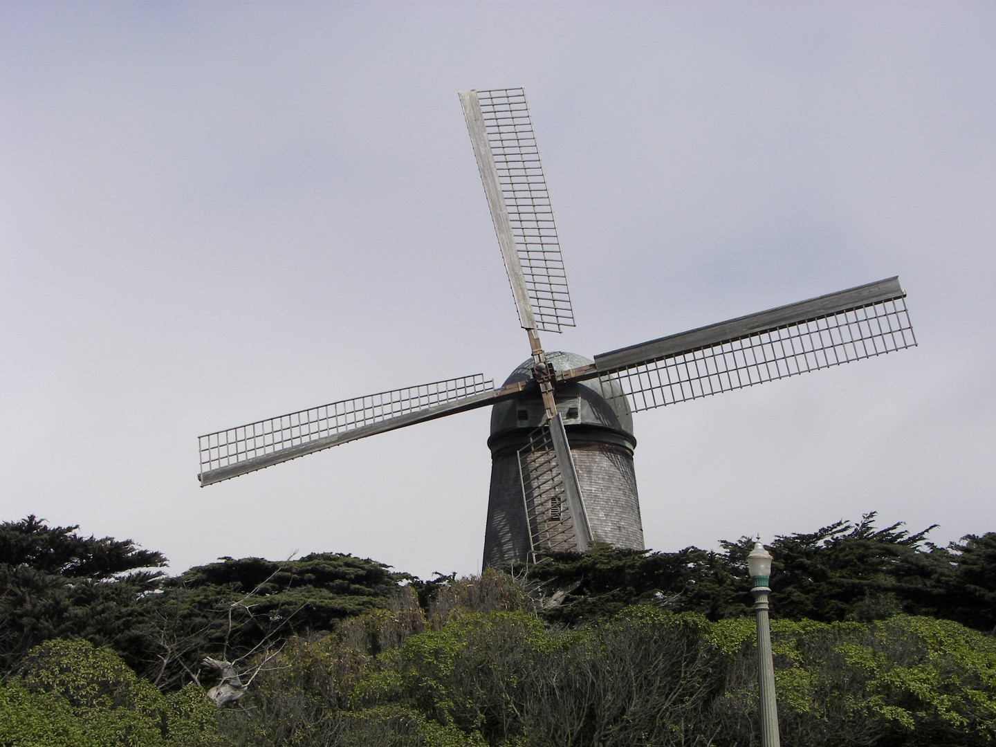 Golden State Park in San Francisco  7 of 23 (#0795)