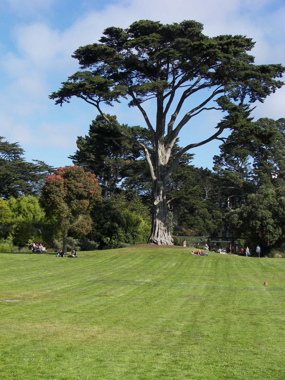 Golden State Park in San Francisco 13 of 23 (#0801)