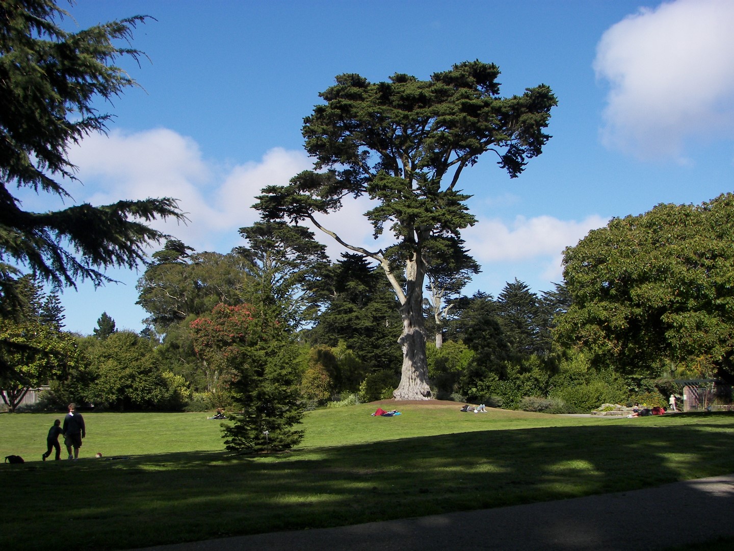 Golden State Park in San Francisco 18 of 23 (#0806)