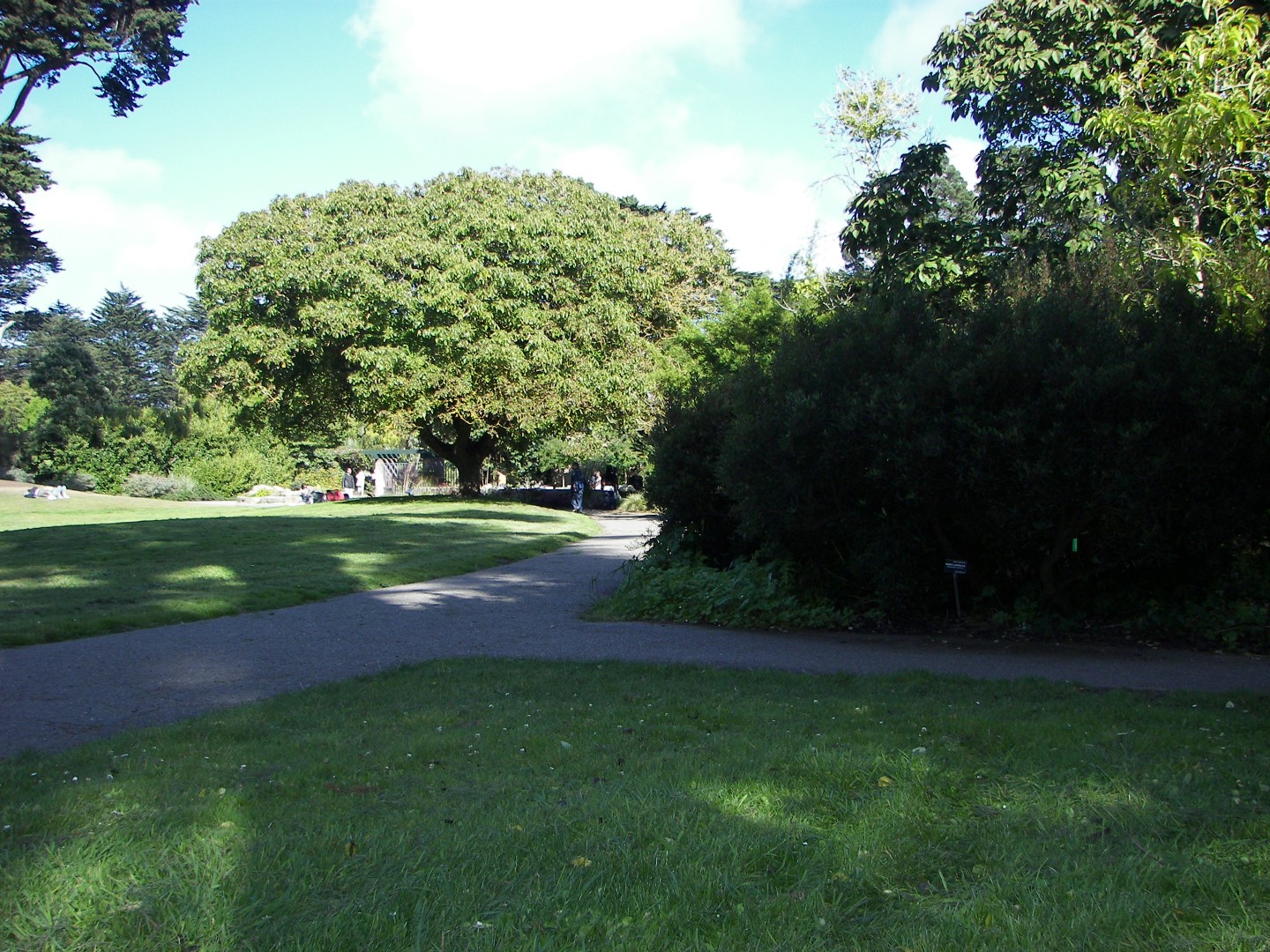 Golden State Park in San Francisco 21 of 23 (#0809)