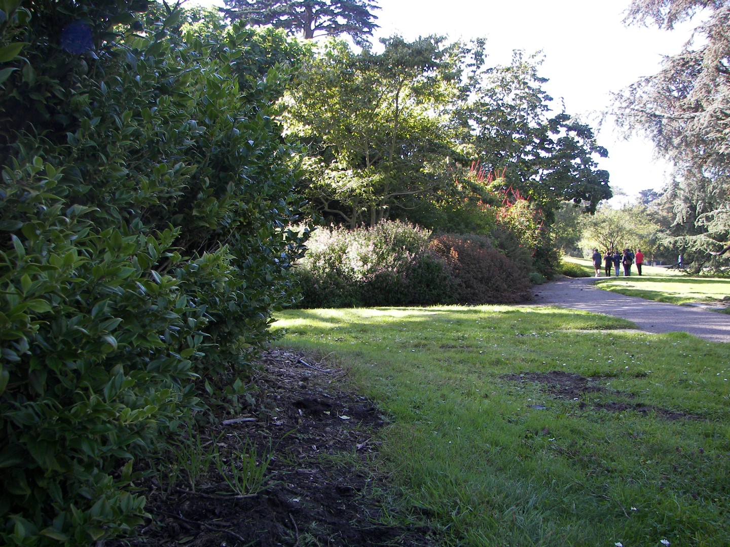 Golden State Park in San Francisco 22 of 23 (#0810)