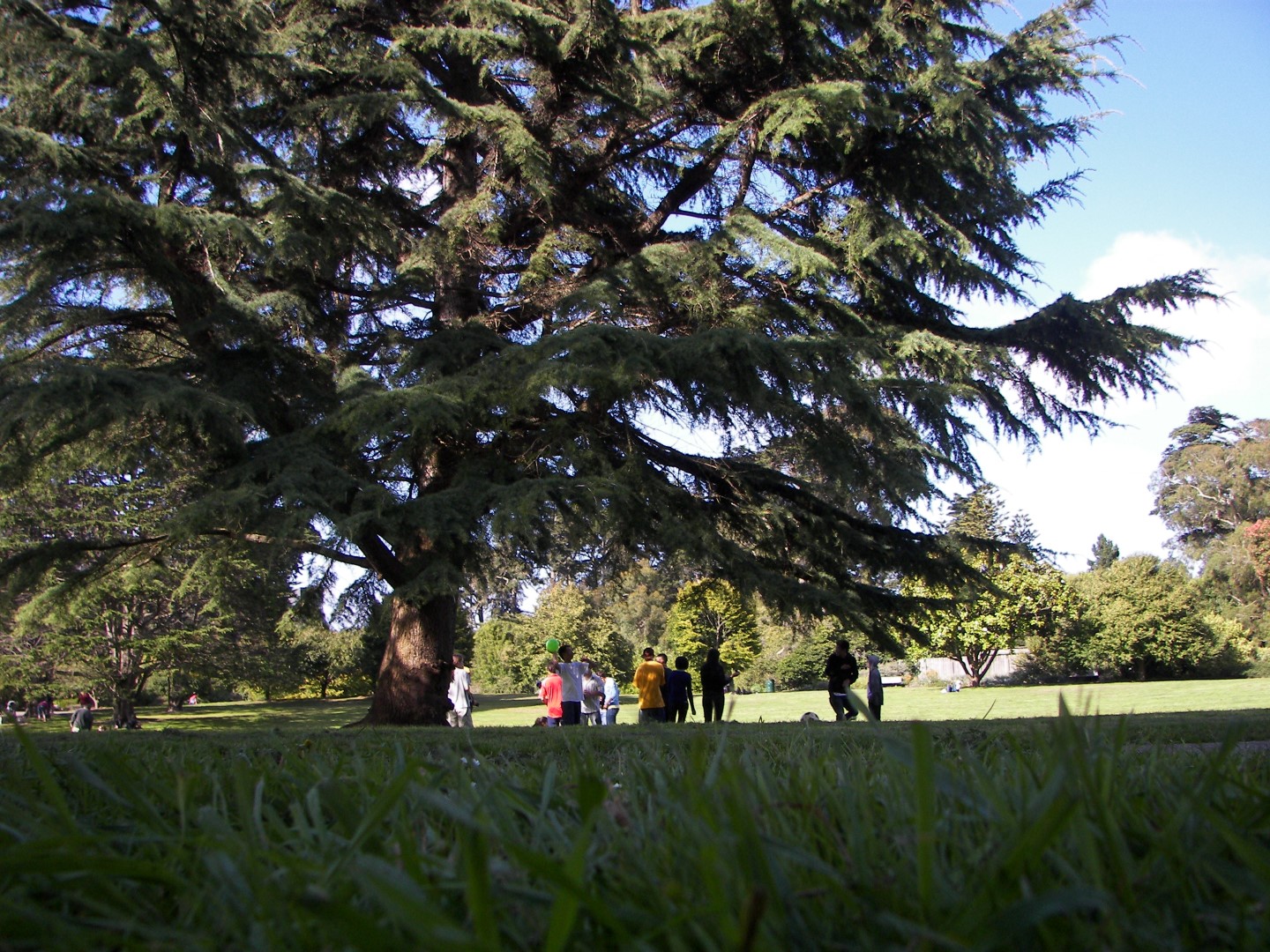 Golden State Park in San Francisco 23 of 23 (#0811)