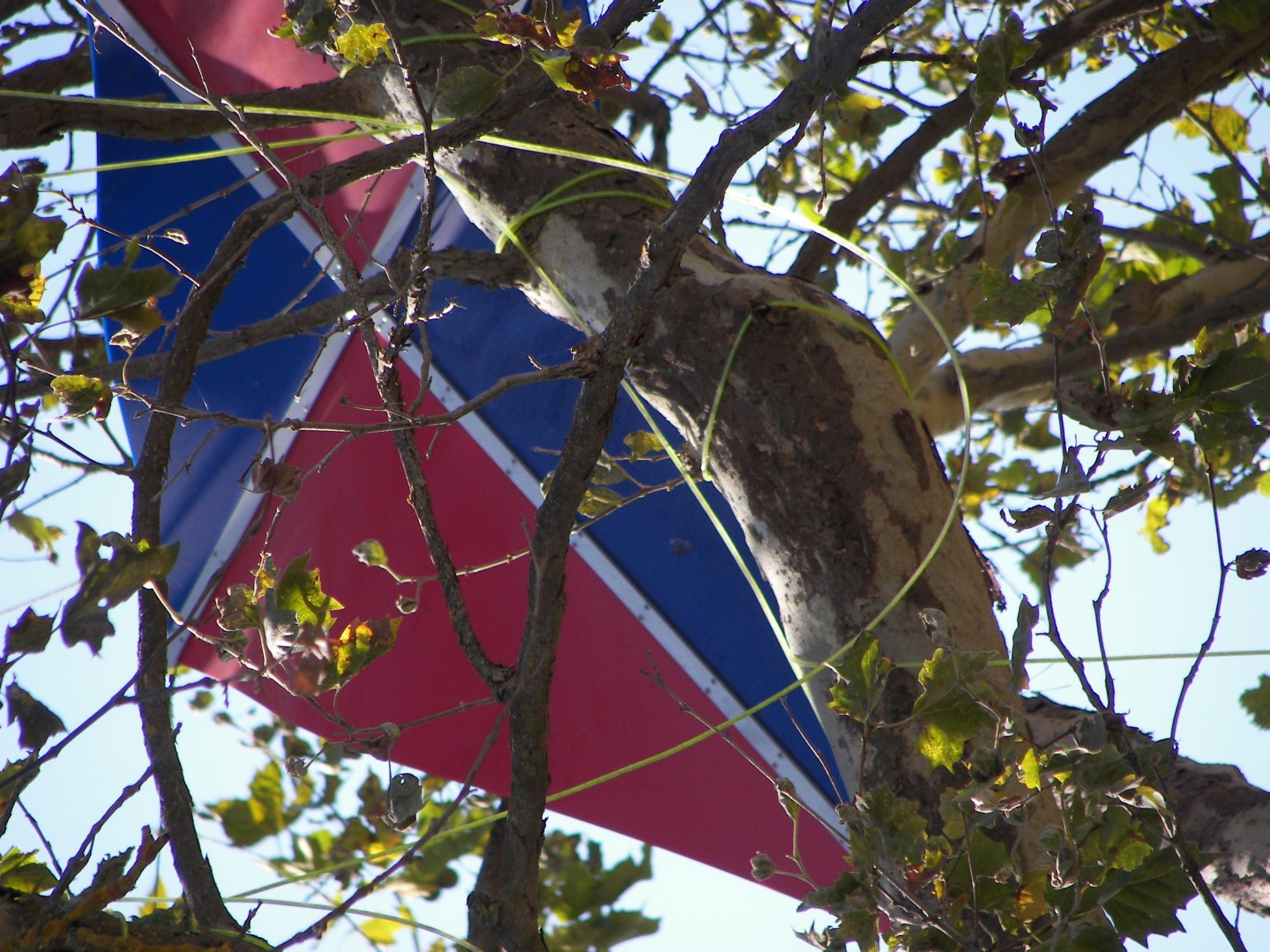 At the Charles Schulz Museum in Santa Rosa CA  6 of 10 (#0831)