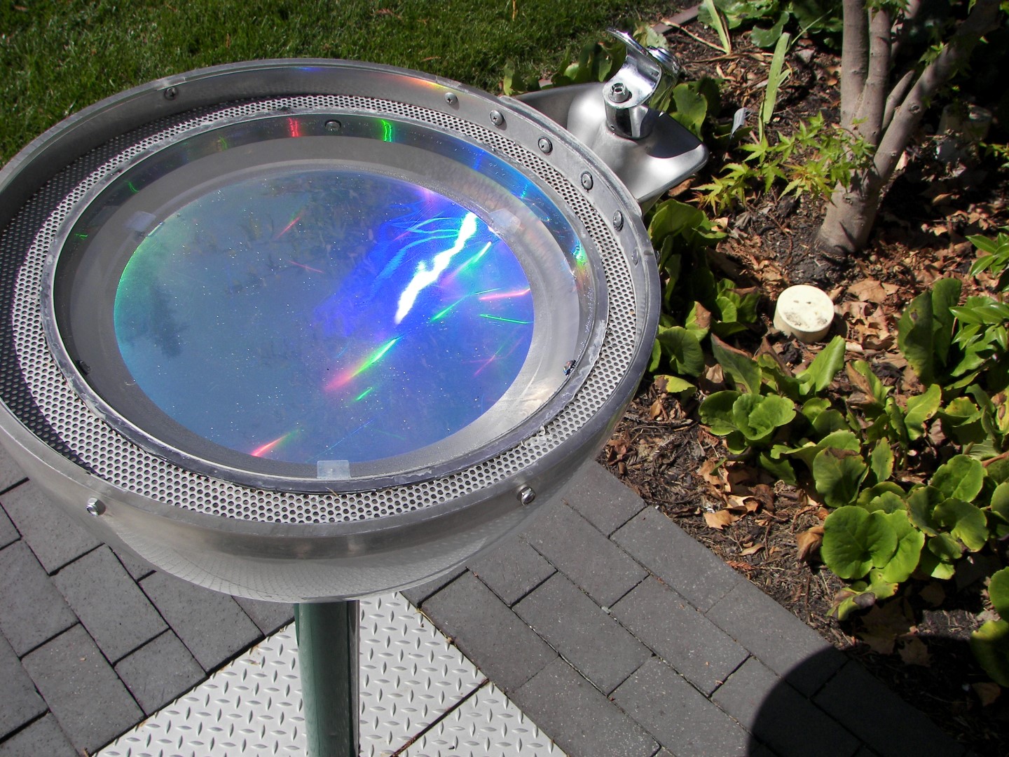 At the Charles Schulz Museum in Santa Rosa CA  7 of 10 (#0835)