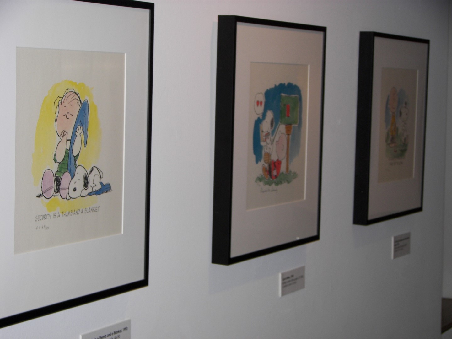 Charles Schulz Museum in Santa Rosa  8 of 11 (#0840)