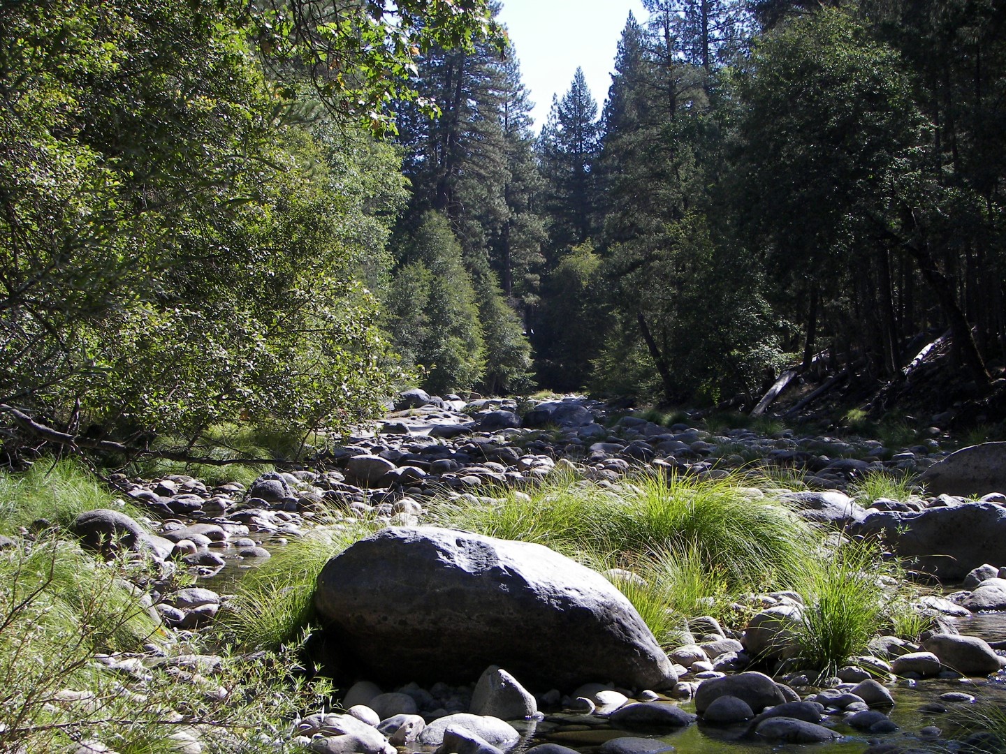 Walking along a rocky stream in Yosemite National Park  3 of 18 (#0858)