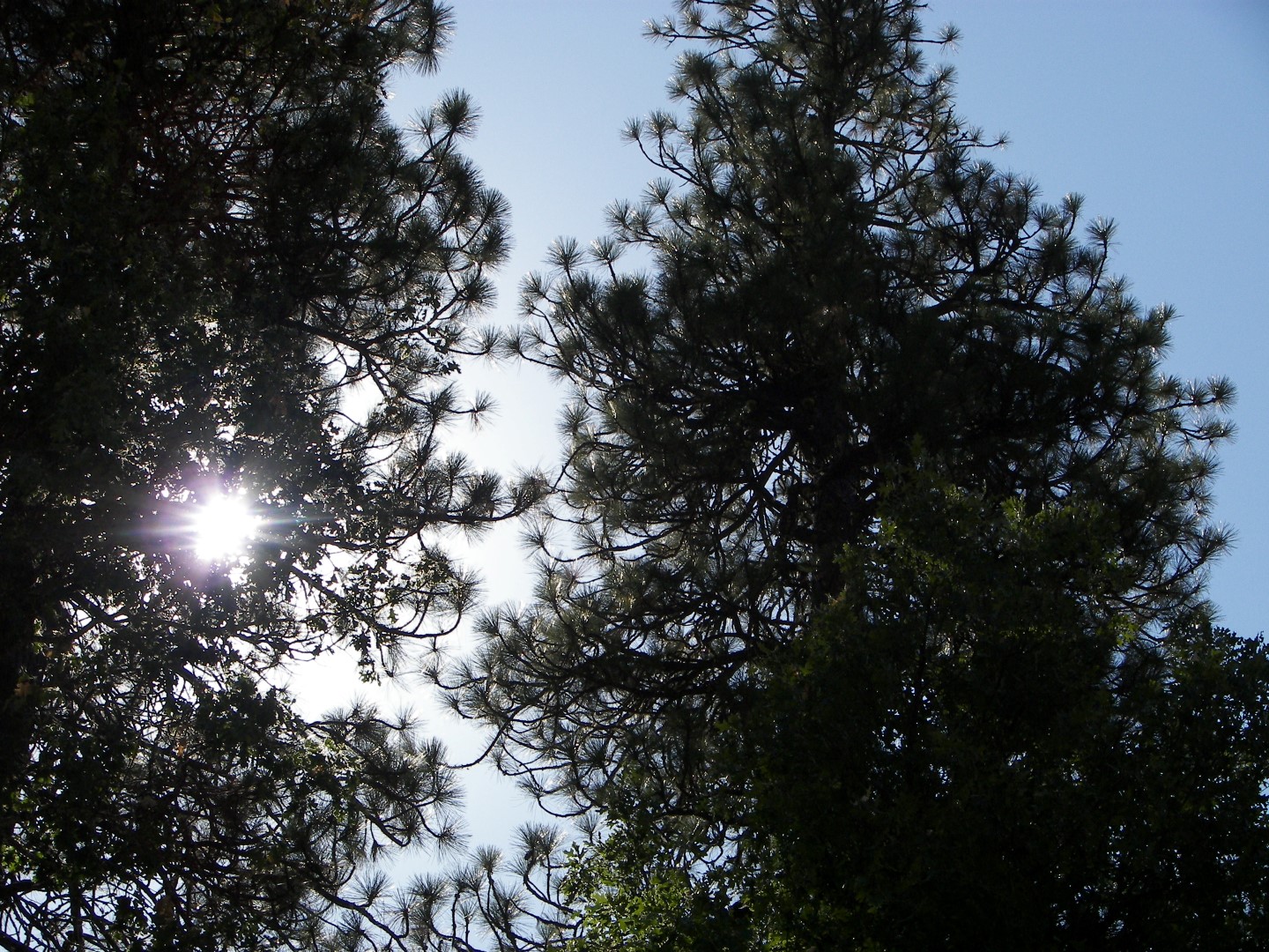 Sites in Yosemite National Park  9 of 26 (#0869)