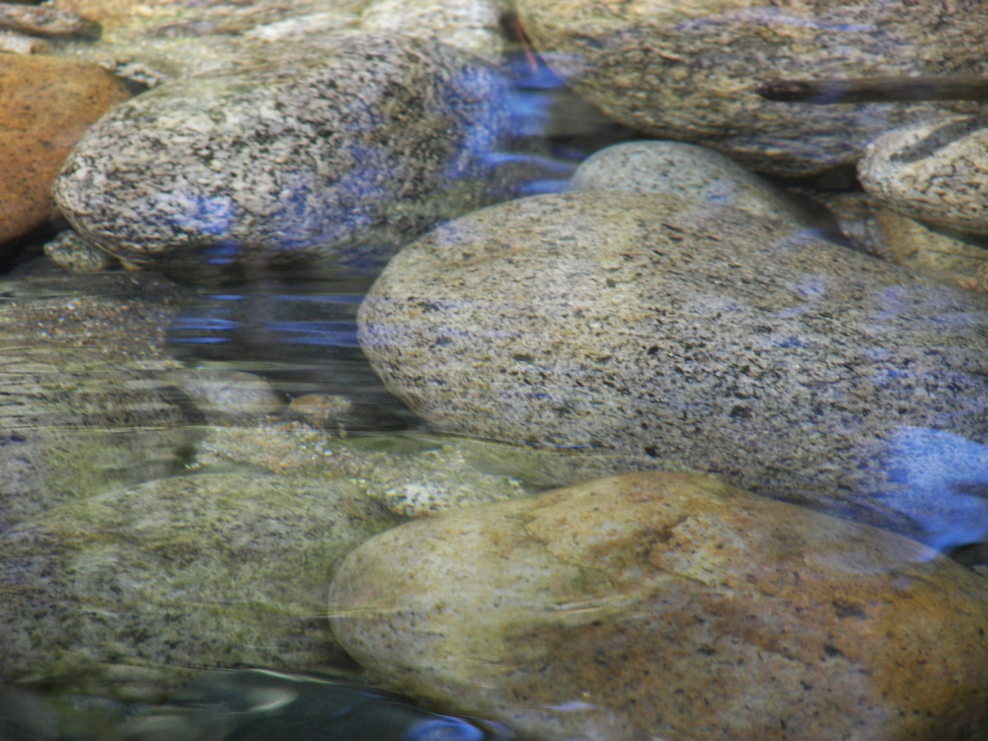 Walking along a rocky stream in Yosemite National Park  6 of 18 (#0871)