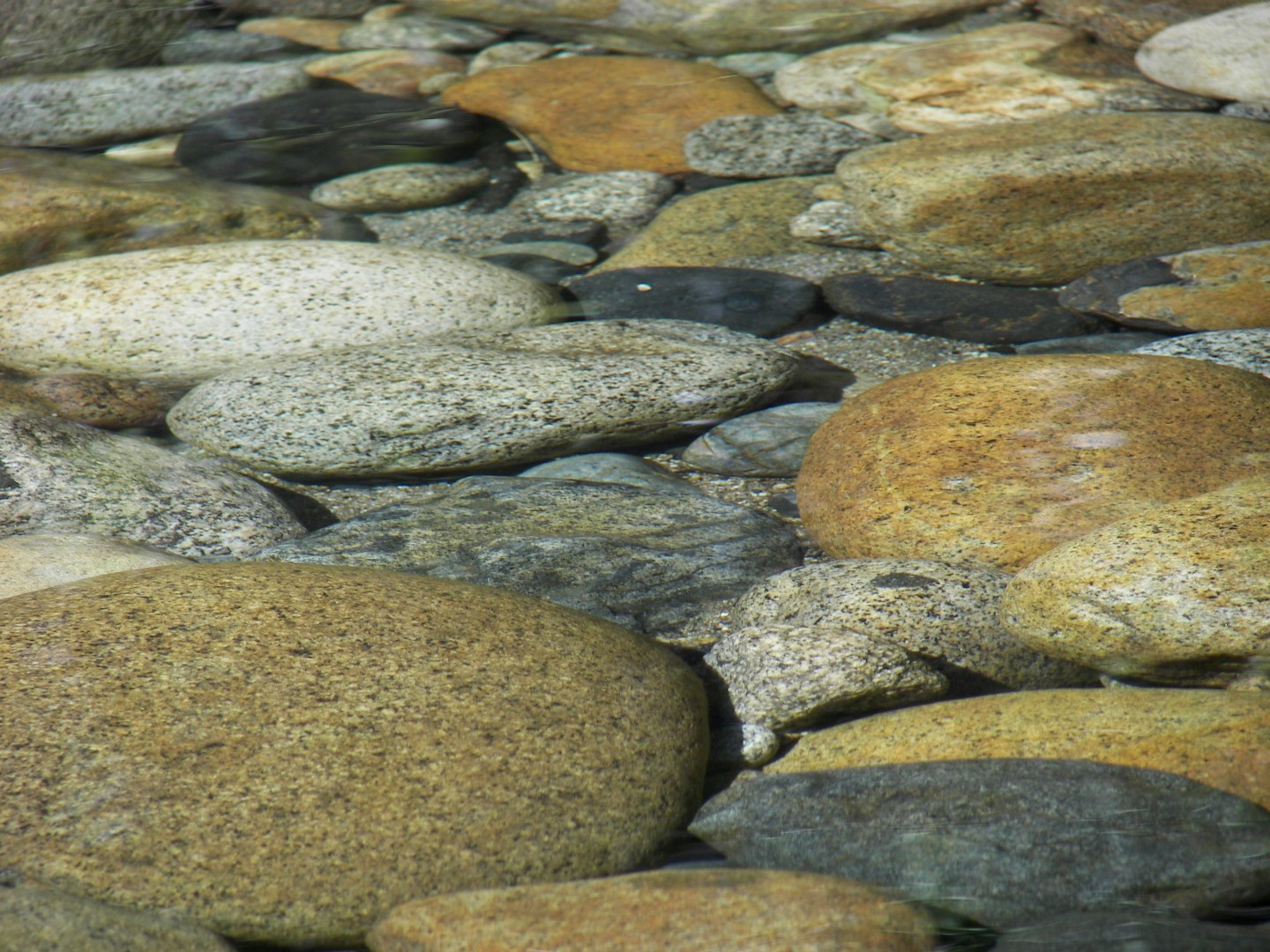 Walking along a rocky stream in Yosemite National Park  7 of 18 (#0872)