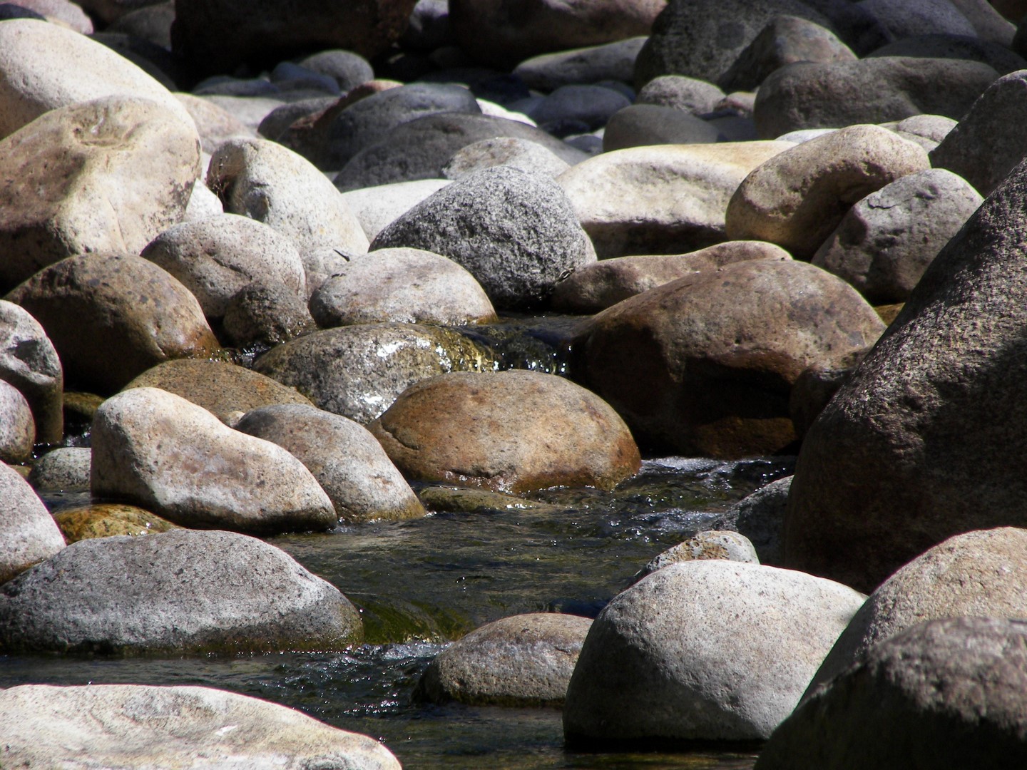 Walking along a rocky stream in Yosemite National Park  8 of 18 (#0873)