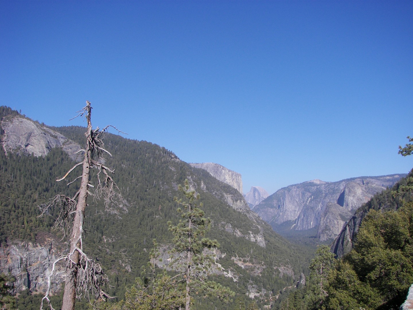 Sites in Yosemite National Park 10 of 26 (#0888)