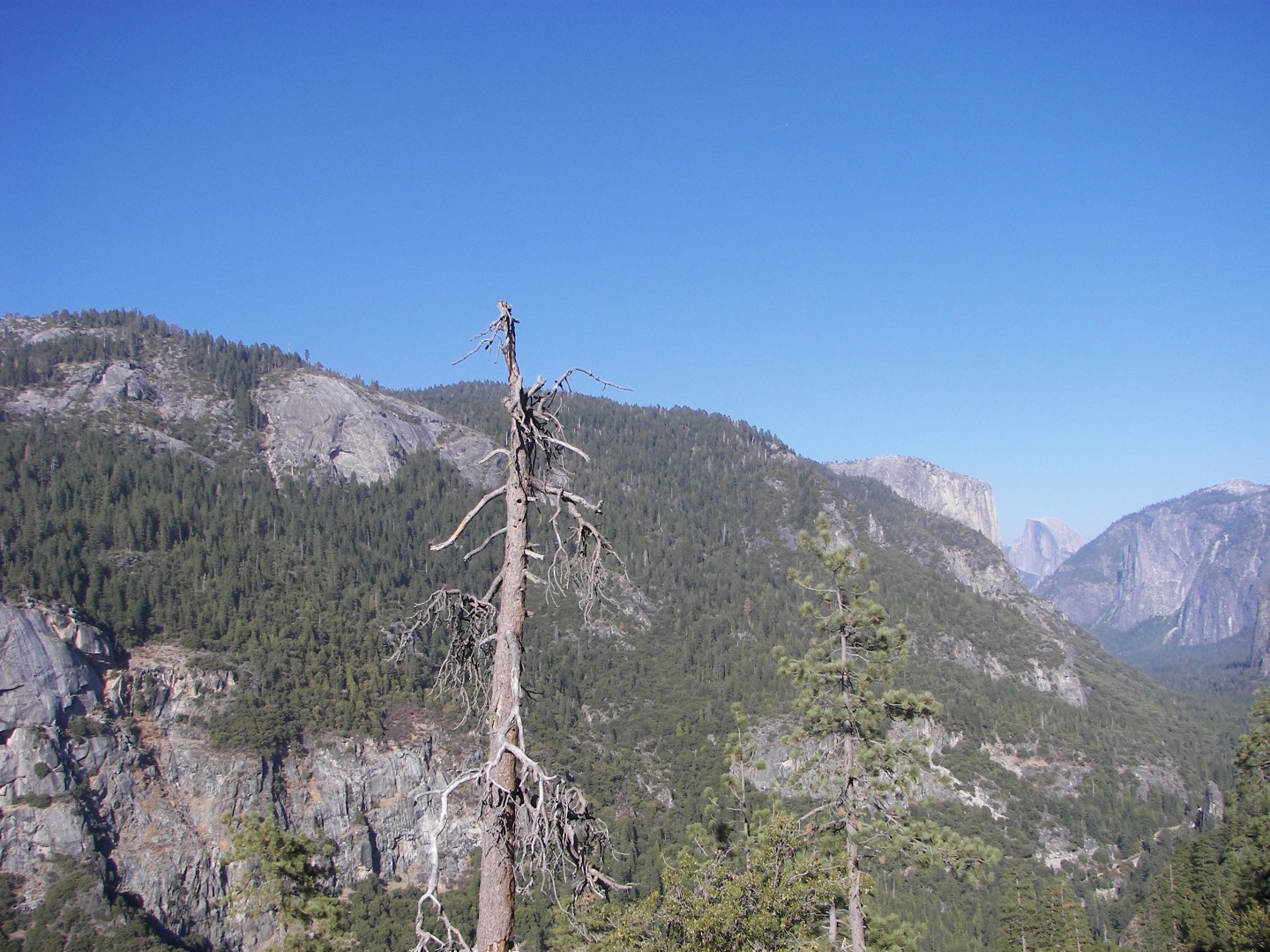 Sites in Yosemite National Park 14 of 26 (#0892)
