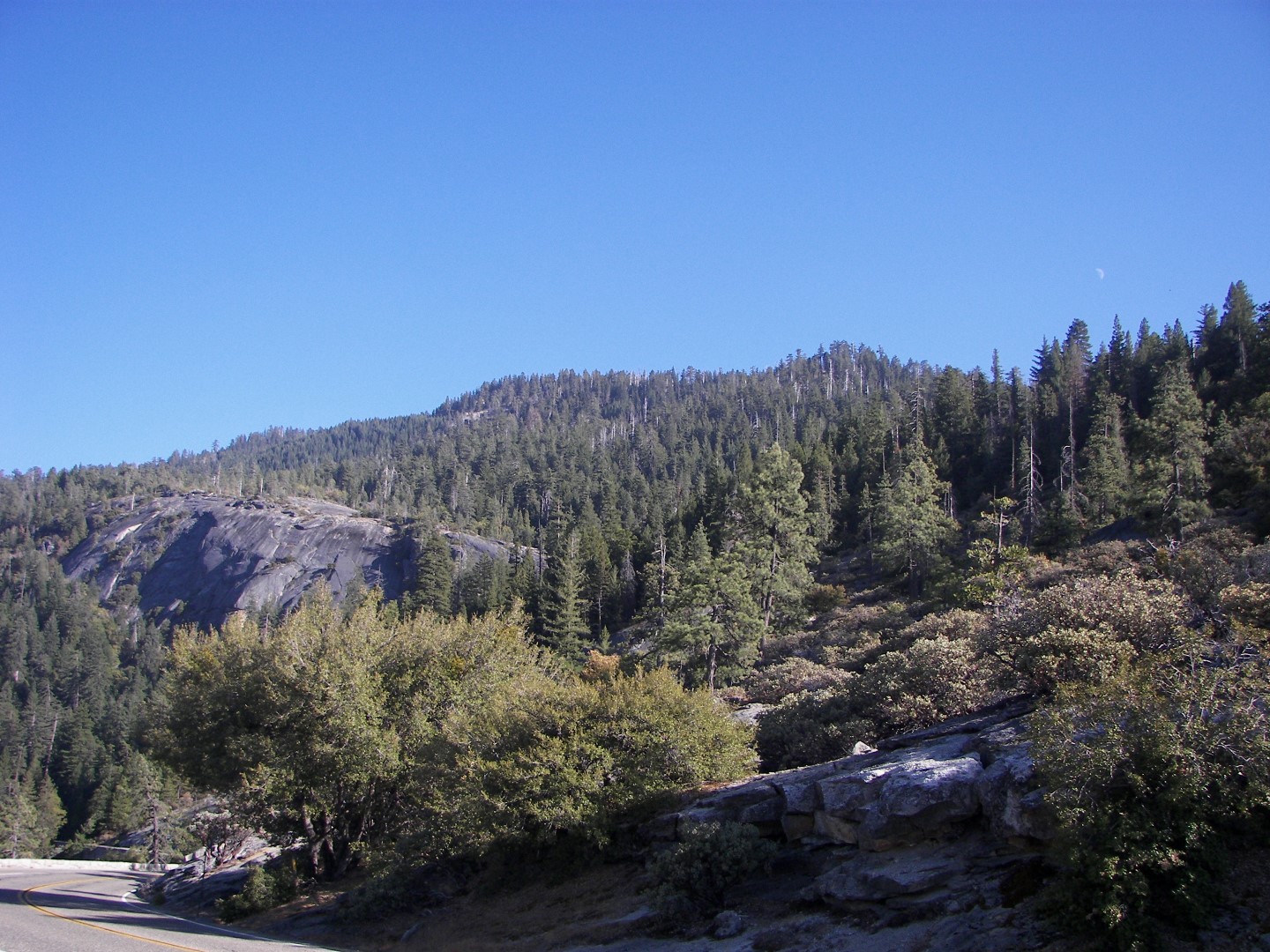 Sites in Yosemite National Park 15 of 26 (#0893)