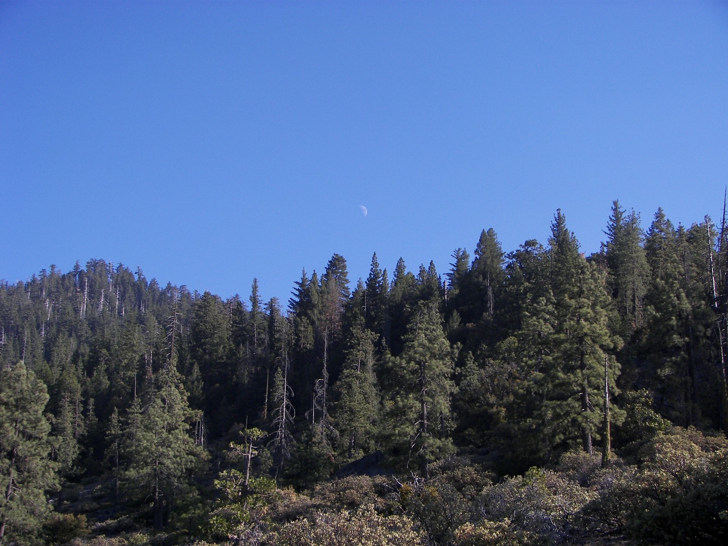 Sites in Yosemite National Park 16 of 26 (#0895)