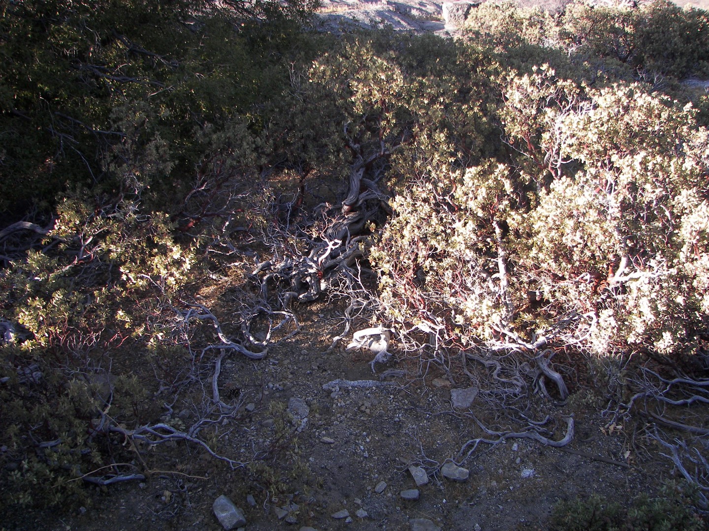 Walking along a rocky stream in Yosemite National Park 13 of 18 (#0902)