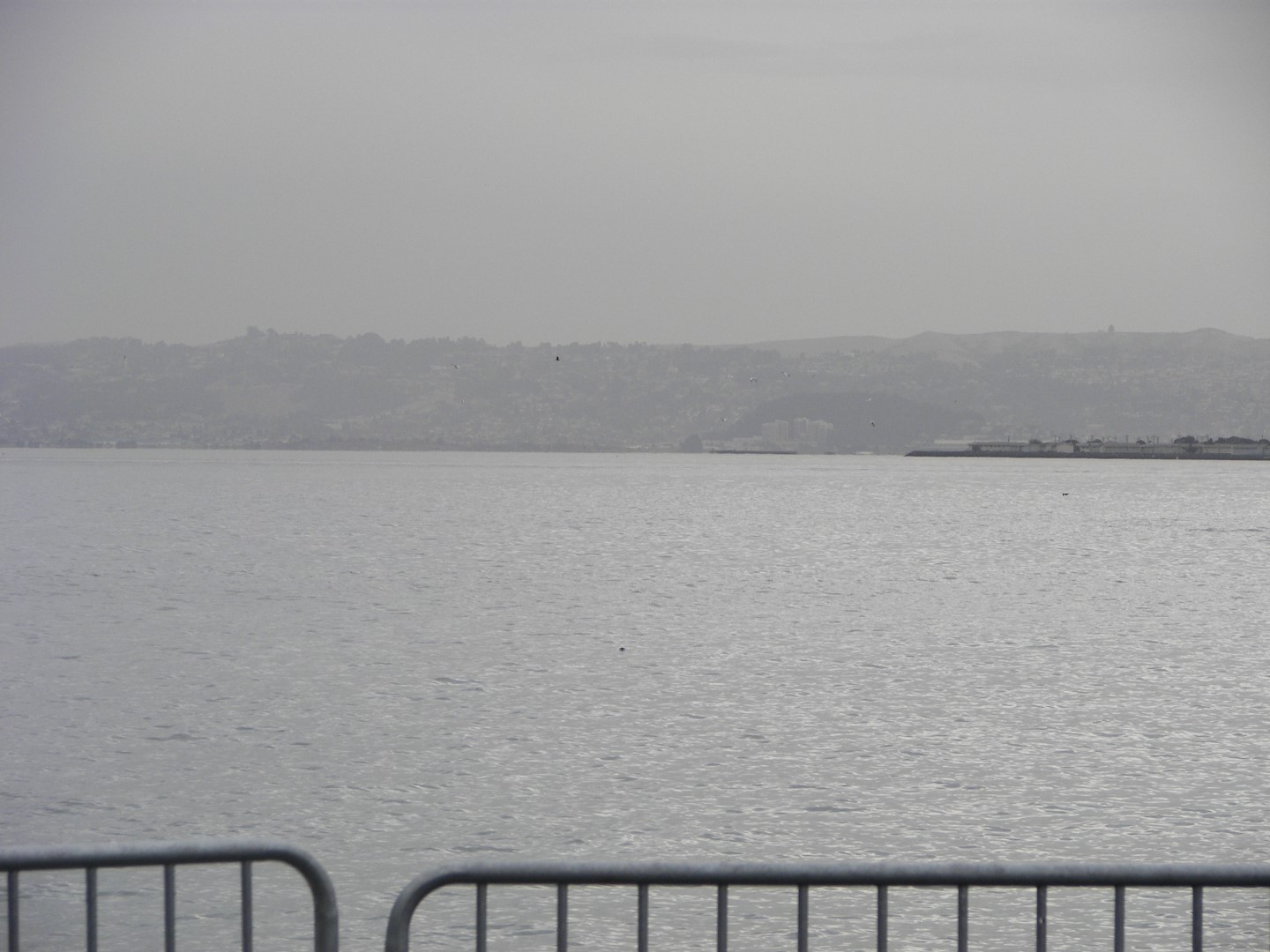 Alcatraz Prison near San Francisco  3 of 30 (#0917)