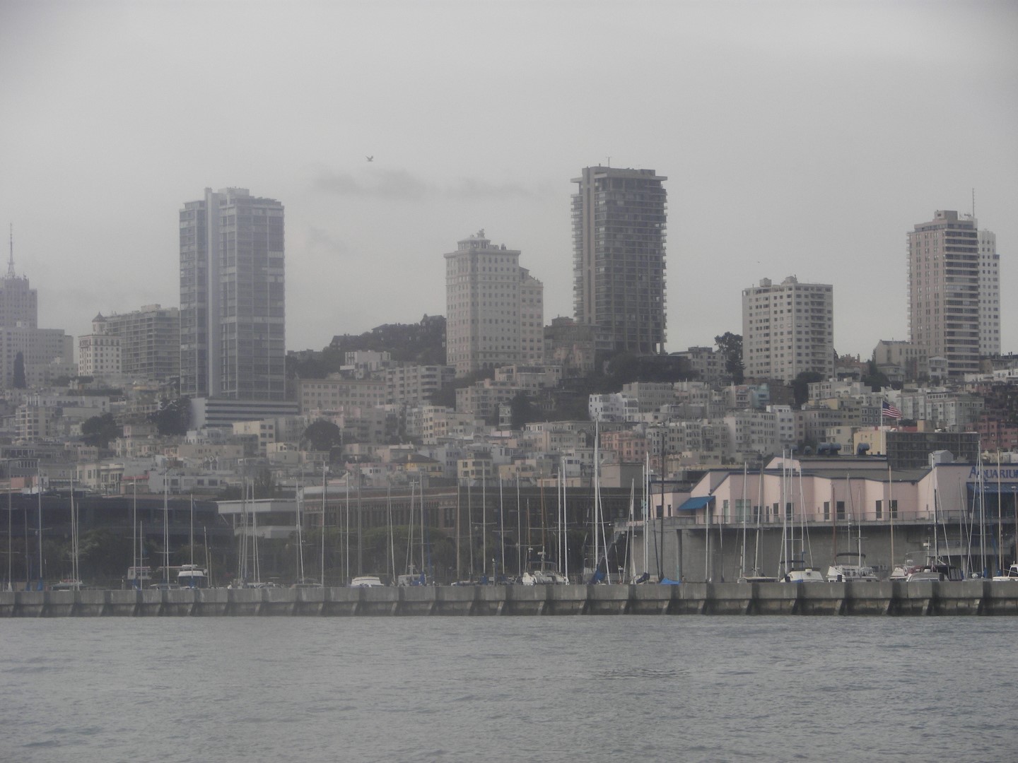 Alcatraz Prison near San Francisco  5 of 30 (#0919)