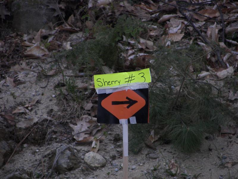 Sign greeting us at the entrance of Hillside Cottages (#1176)