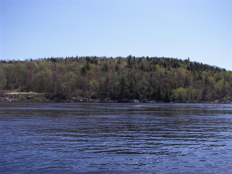 Lake and trees typical in Maine (Rumford) (#1202)