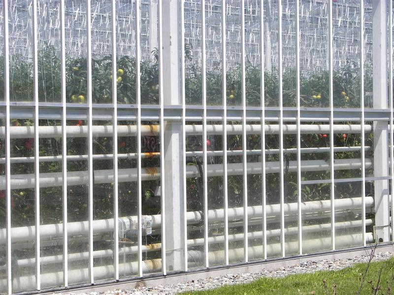 BackYardBeauties.com 24-acre green house #3 of 4 (#1207)