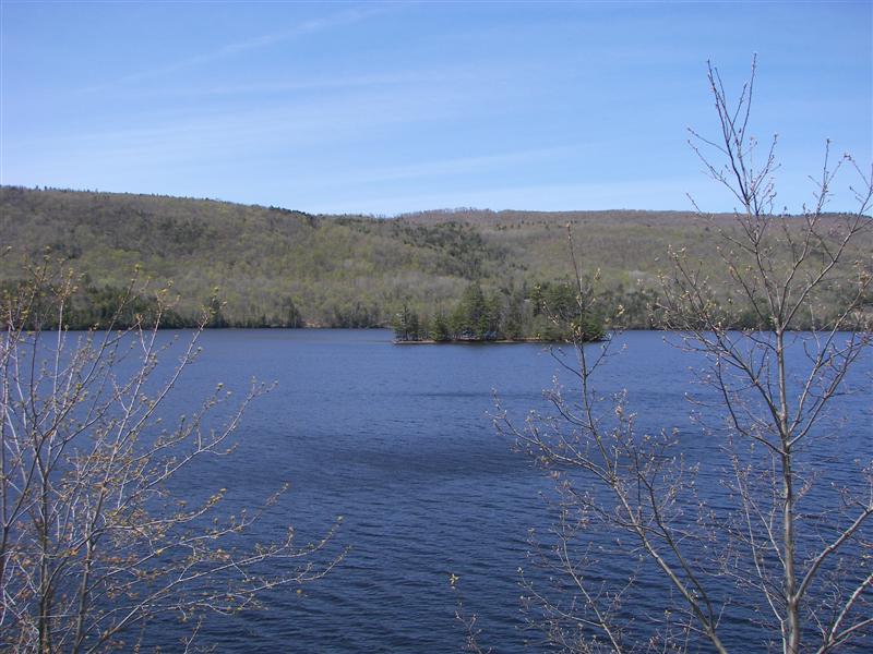 River south of the town of The Forks, ME #1 of 3 (#1225)