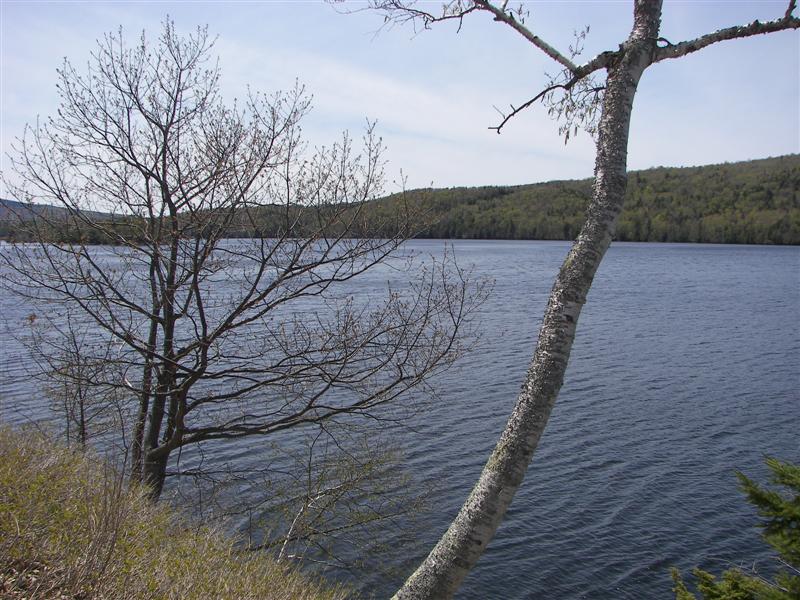 River south of the town of The Forks, ME #2 of 3 (#1226)