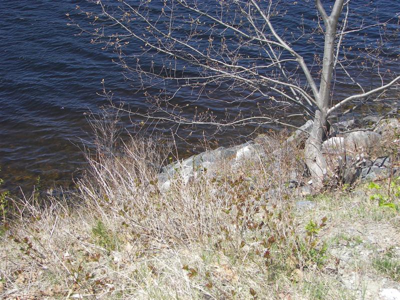 River south of the town of The Forks, ME #3 of 3 (#1227)