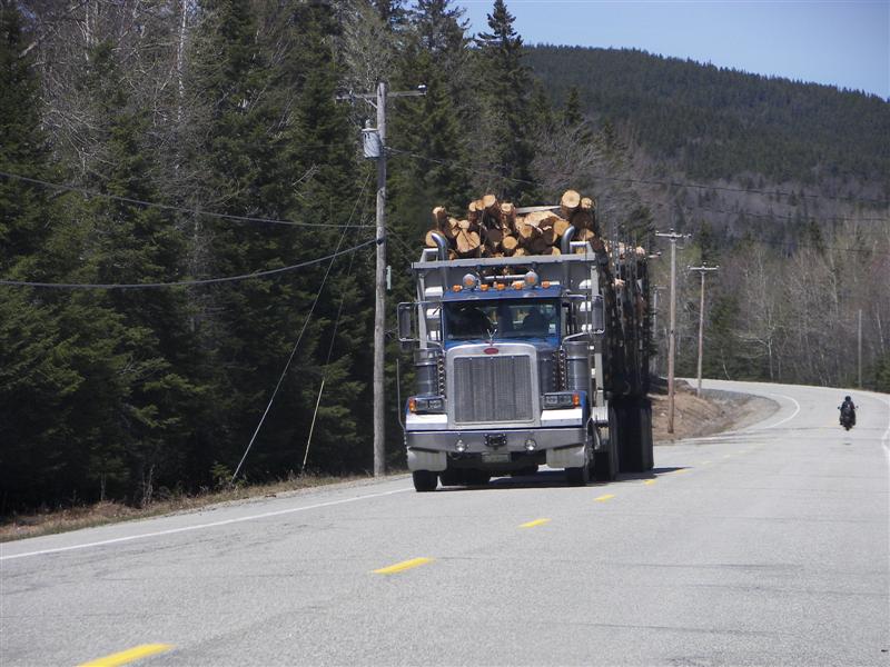 One of many logging trucks seen on the highways (Jackman) (#1233)