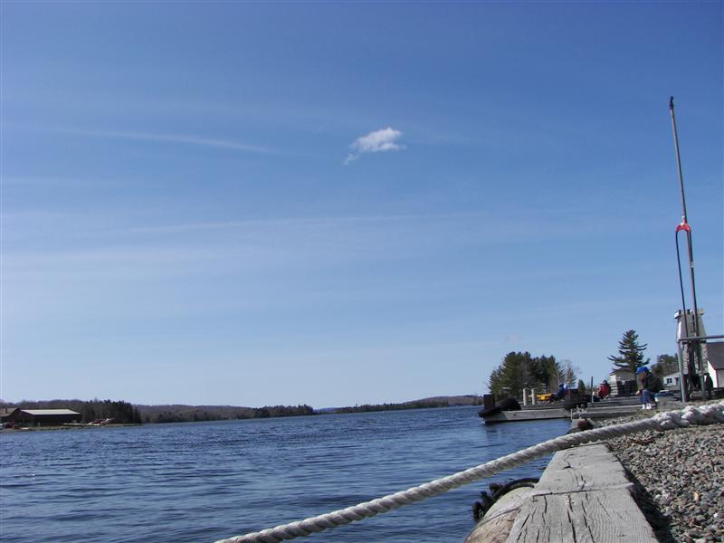 Part of the lake in Greenville (#1250)