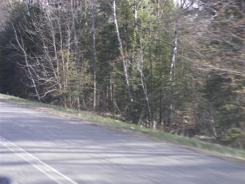 Scenery between Greenville and Dover-Foxcroft#2 of 6 (#1265)