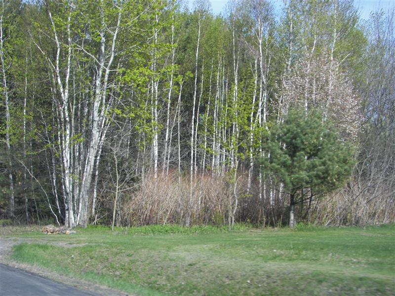 Scenery between Greenville and Dover-Foxcroft#5 of 6 (#1273)