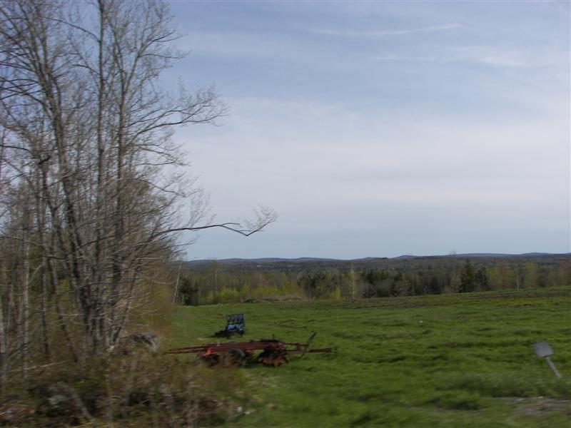 View of trees and mountains near Millinocket #1 of 3 (#1278)
