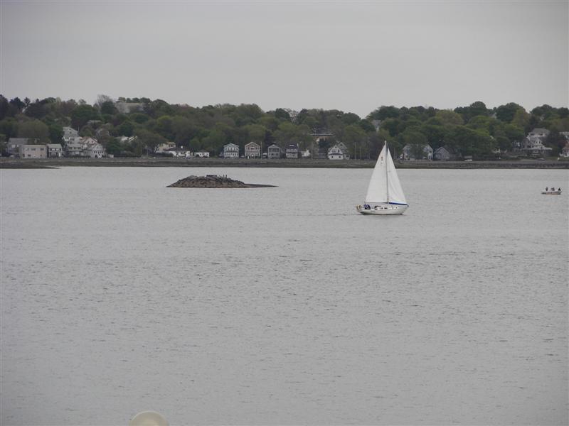 Sailing near JFK Library #2 of 3 (#1417)