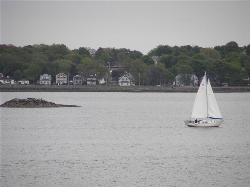 Sailing near JFK Library #3 of 3 (#1418)