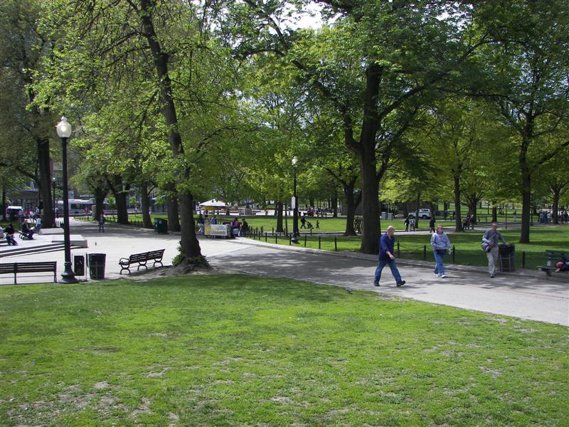 Boston Commons #2 of 2 (#1439)