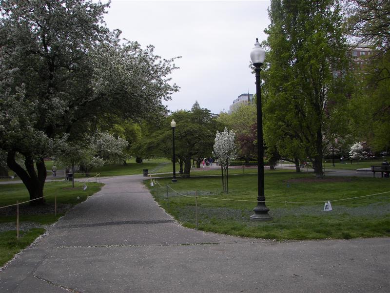Boston Public Gardens  #1 of 22 (#1453)