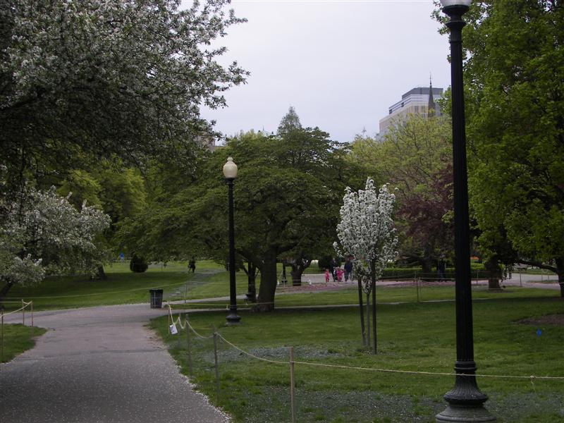 Boston Public Gardens  #2 of 22 (#1454)