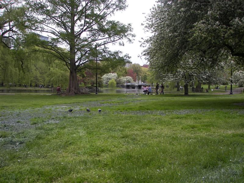 Boston Public Gardens  #3 of 22 (#1455)