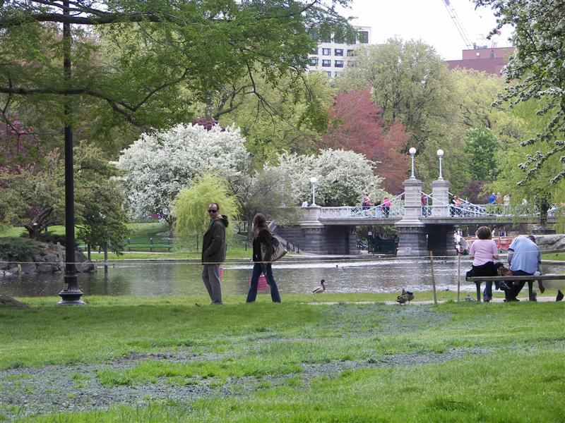 Boston Public Gardens  #4 of 22 (#1456)