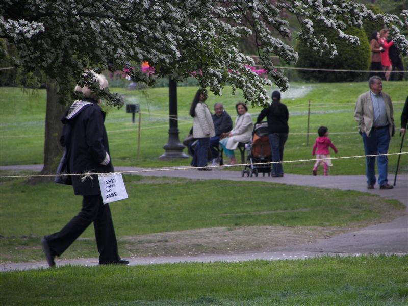 Boston Public Gardens  #8 of 22 (#1460)