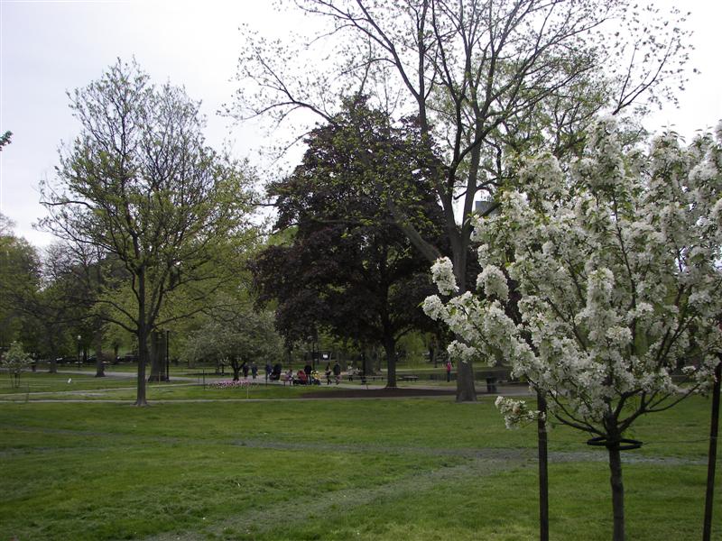 Boston Public Gardens #12 of 22 (#1464)