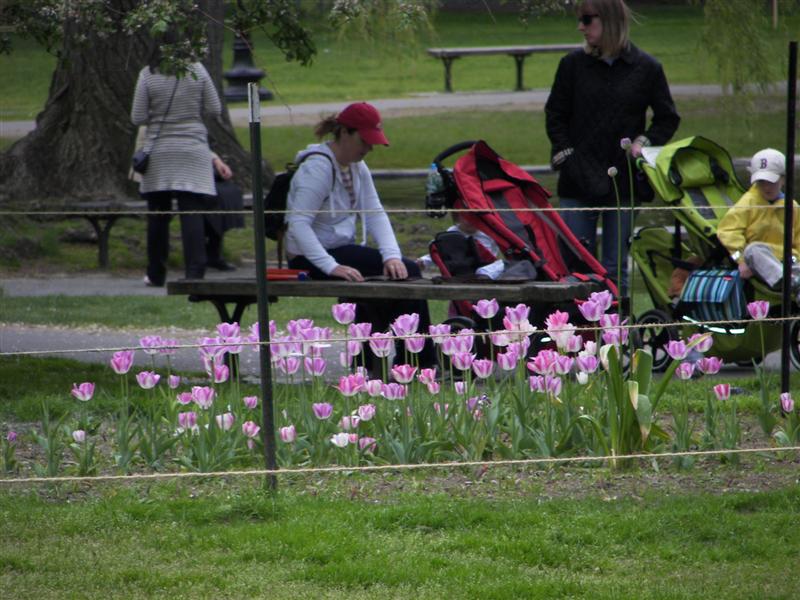 Boston Public Gardens #14 of 22 (#1466)