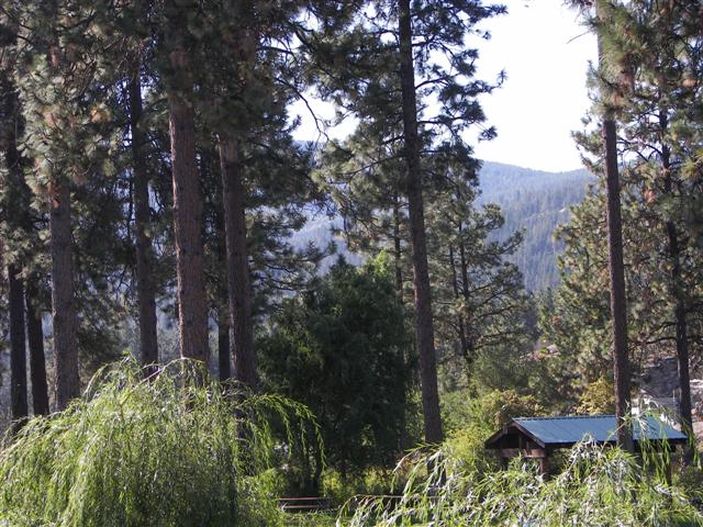 Falls Park in Post Falls, ID #2 of 13 (#2479)